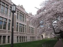 Savery Hall and cherry blossoms