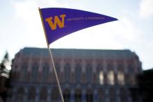 UW Flag