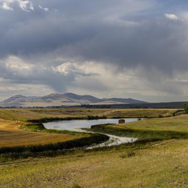 Landscape photo of a small creak